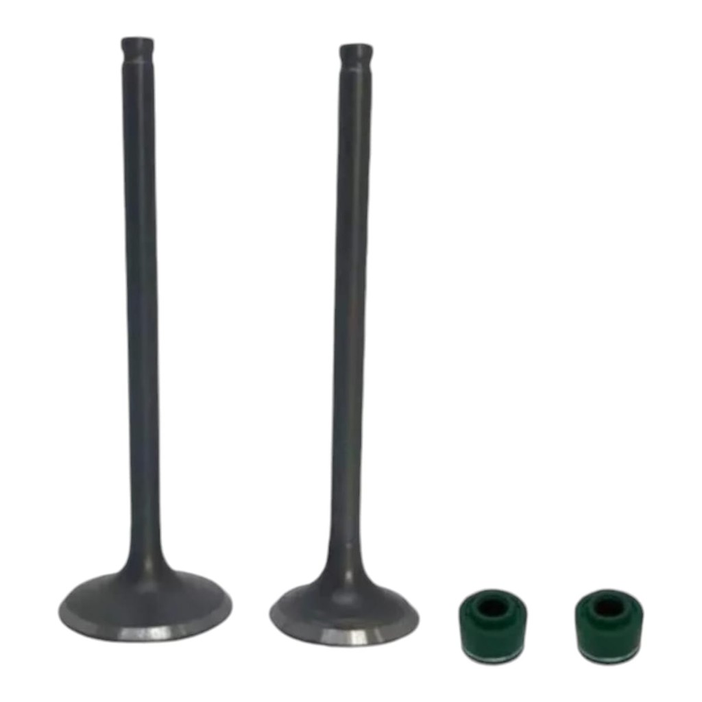 Kit Valvulas C/ Retentor Cabeçote Cg Titan 2003 Fan 125 2008