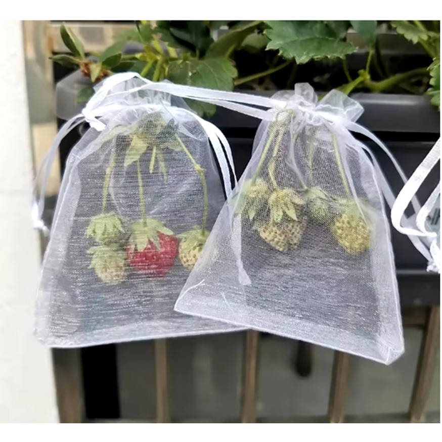 100 Saquinhos protege fruta no pé Lavavel Ideal para Morango (9x12cm)