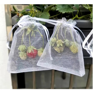 100 Saquinhos protege fruta no pé Lavavel Ideal para Morango (9x12cm)