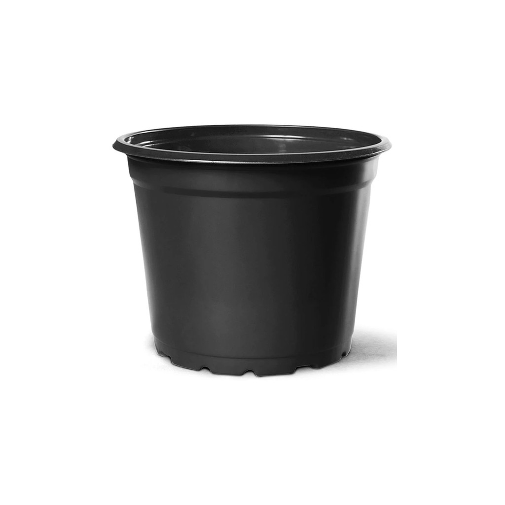 Vaso Plástico Pote 11 Holambra 415ml Preto - 100 unidades Mudas, Suculentas e Cultivo Doméstico