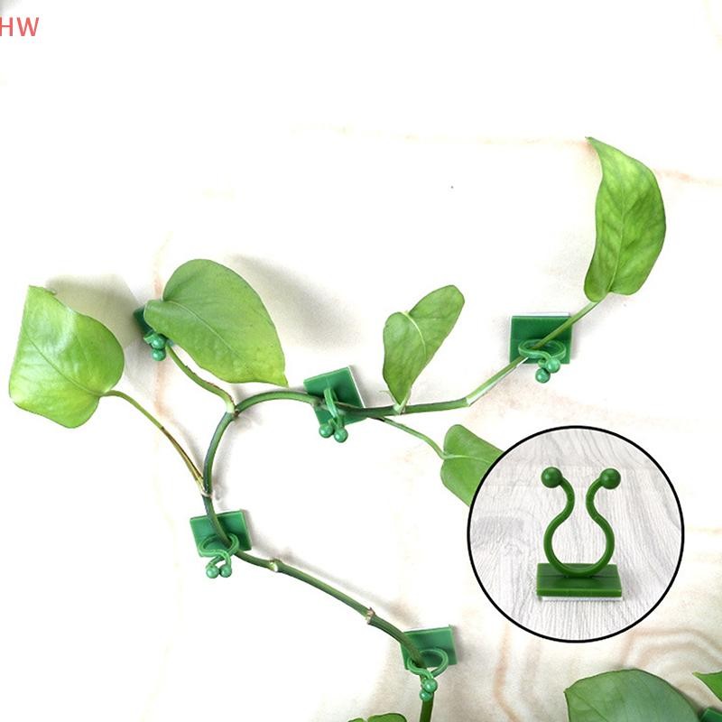 20 Pçs Suporte De Planta Folha Verde Clipe Auto Adesivo Casa Jardim Invisível Escalada Parede Gancho — imagem 2 de 2