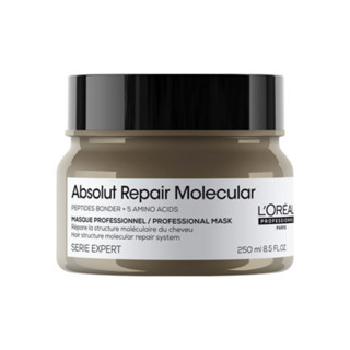 Absolut Repair Molecular Máscara Concentrada Profissional - 250g em Oferta na Shopee