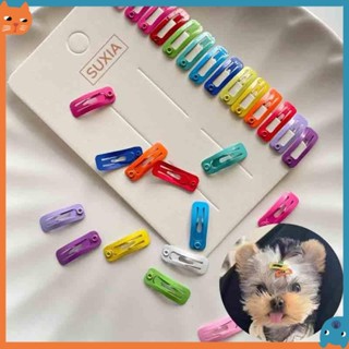 2cm Pet Hairpin Grampos De Cabelo Pintura Colorida Mini Quadrado BB Clipe Quebrado Ferramenta Remoção Do em Oferta na Shopee