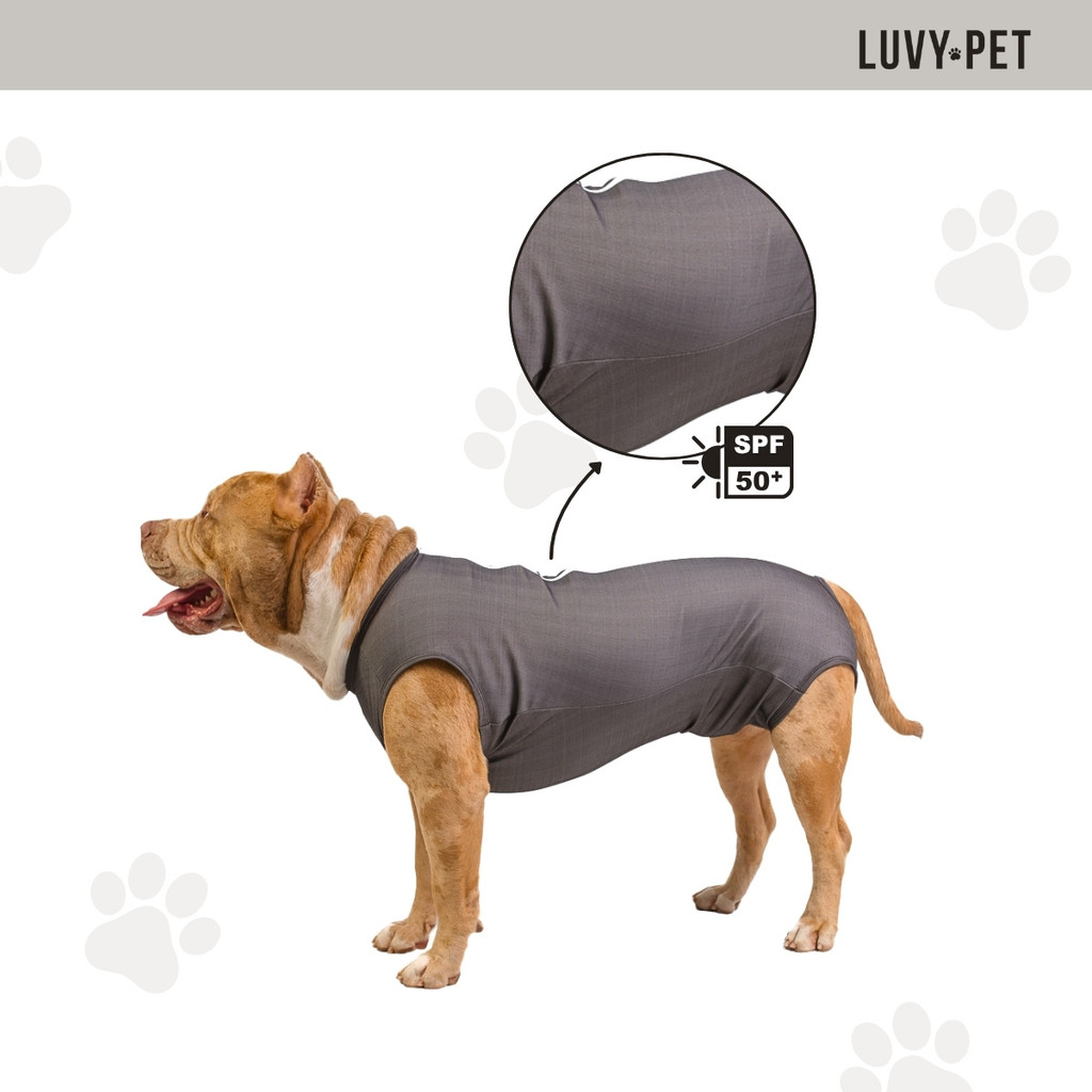 Roupa Cirurgica para Cachorro Unissex UV Castração Cães Grafite