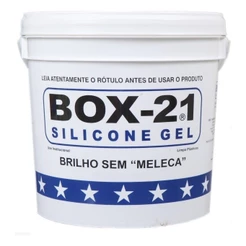 Silicone Automotivo Box 21 3,6kg Acabamento
