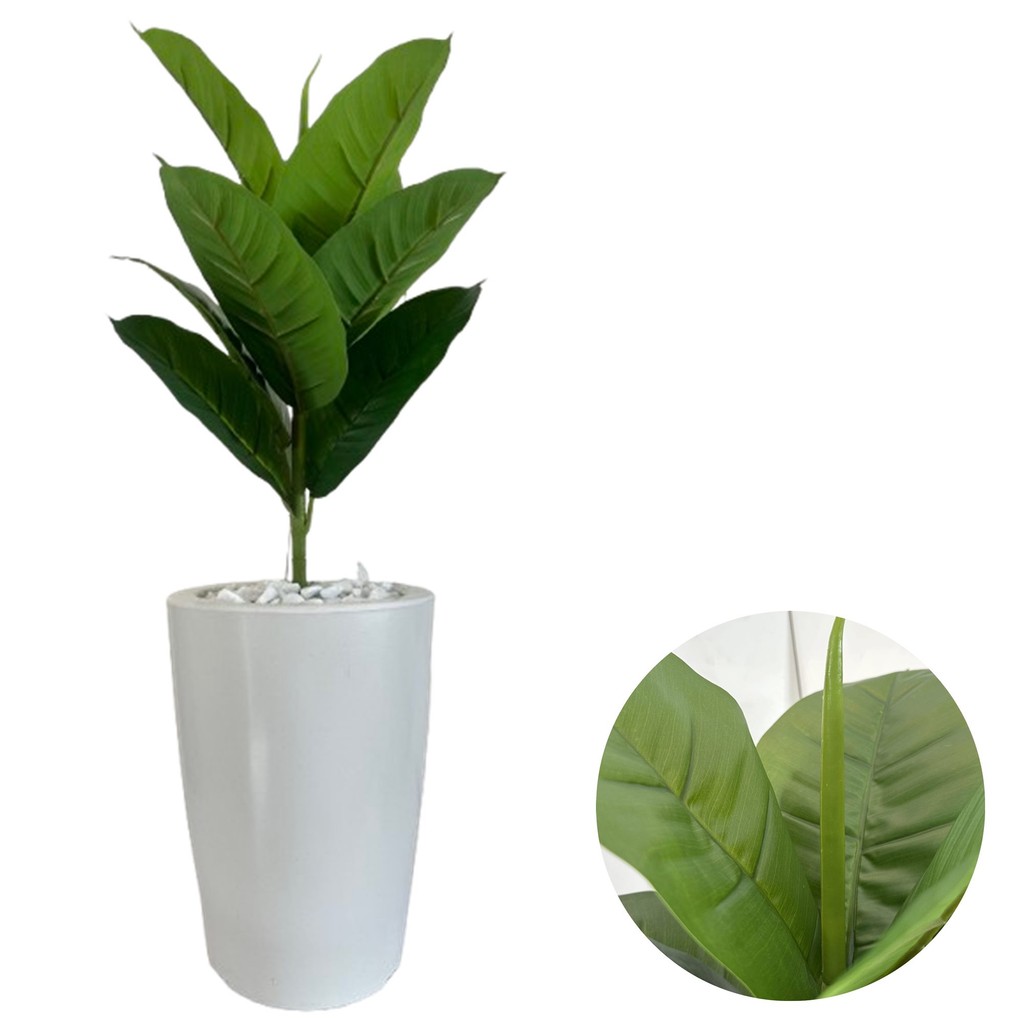 Planta Artificial Ficus Lyrata Com Vaso Cone Pedras Brancas