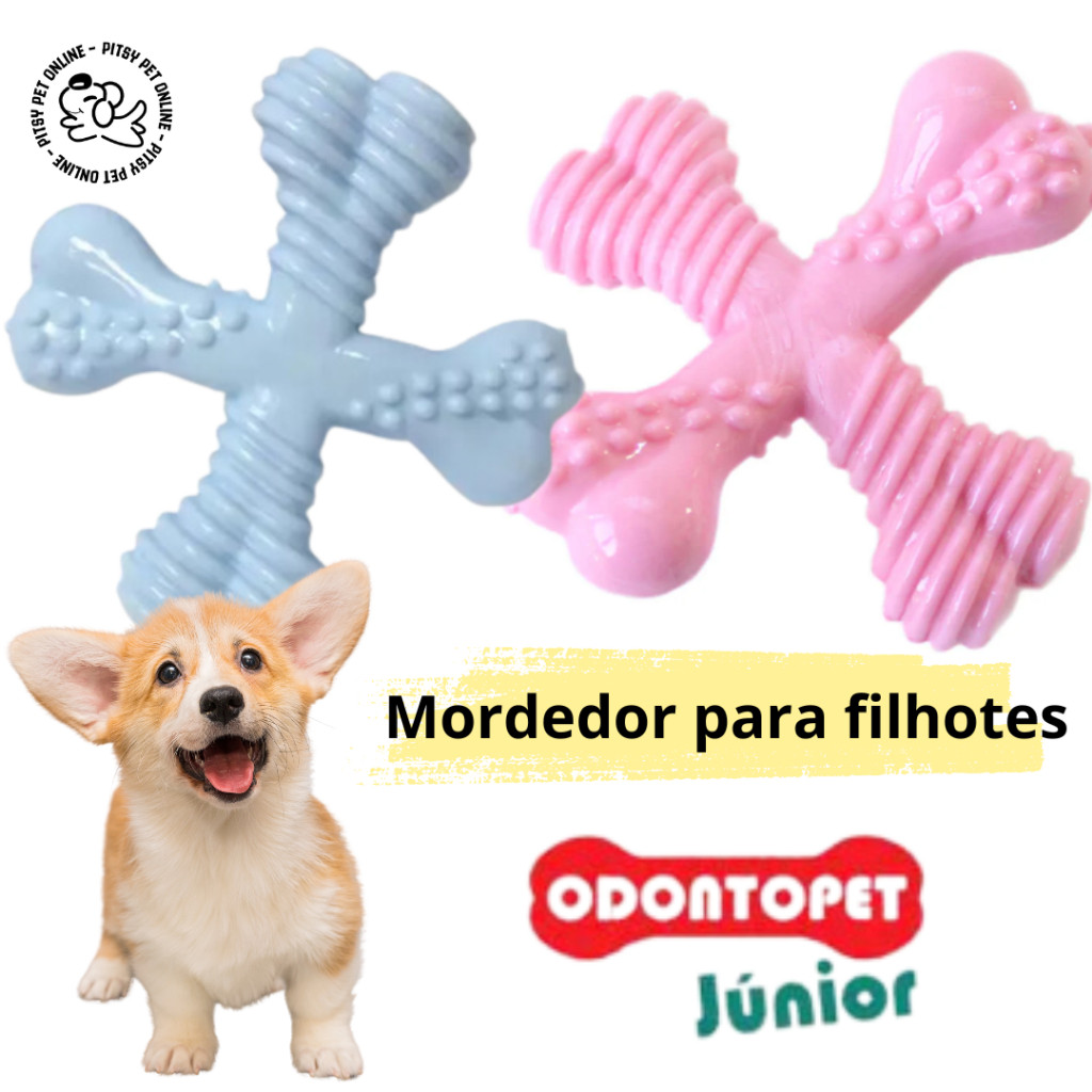 Brinquedo Spinner Junior Odontopet: Onde Comprar | BuscaProdutos