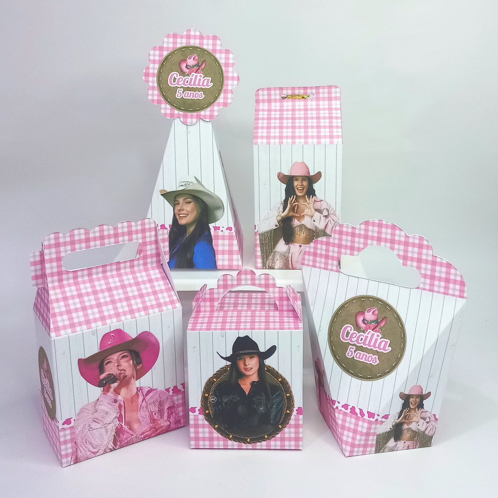 Personalizados Ana Castela Festa Boiadeira Infantil Lembrancinha de Aniversário Kit Pegue e Monte Decoração