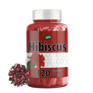 Hibiscus 120 capsulas de 500 mg Kit com 1,2 e 3 Potes NatuErvas em Oferta na Shopee