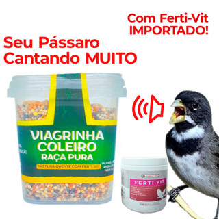 Viagrinha Ração Coleiro Tiziu Fert Vit importado Raça Pura 120g em Oferta na Shopee