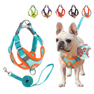 Coleira Peitoral Respirável Cachorro E Gato, Conjunto De Guia + Coleira Tipo Colete Para Pet Pequenos E Médios em Oferta na Shopee