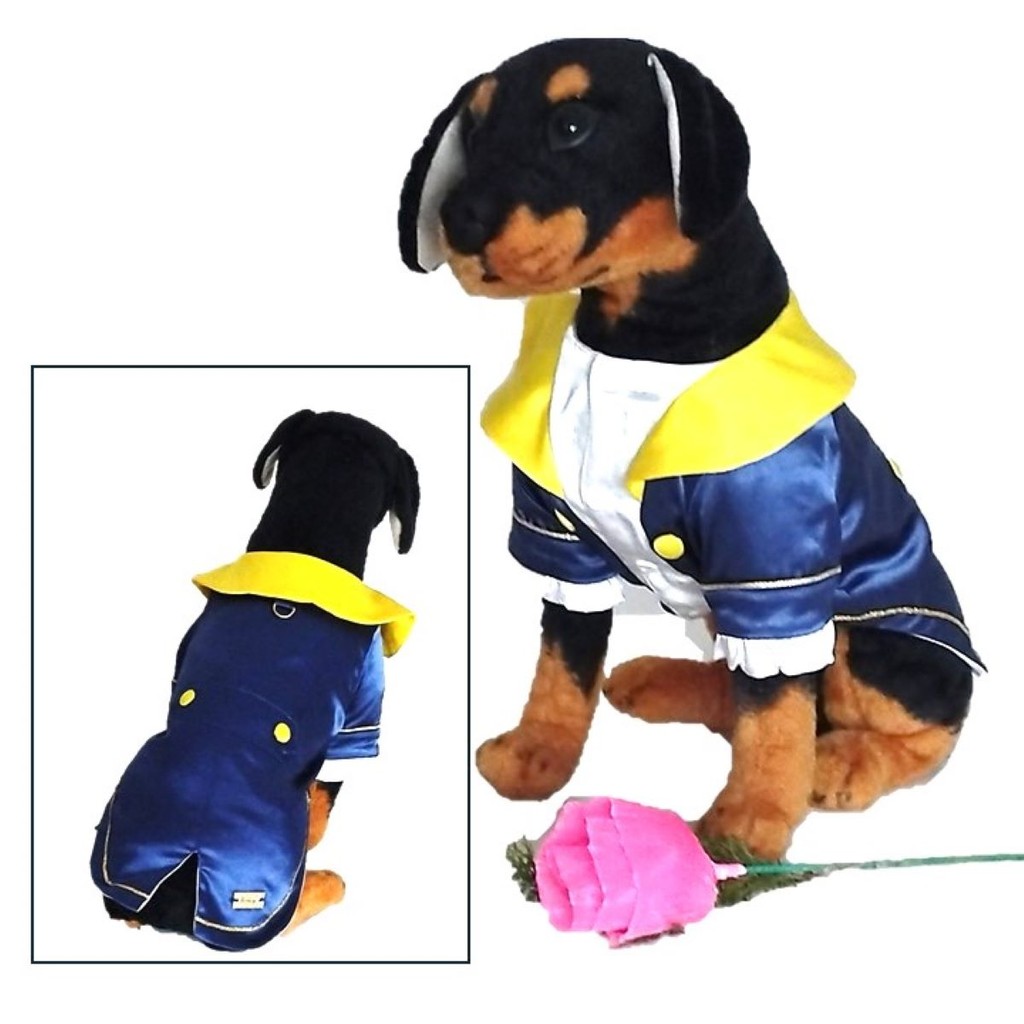Fantasia de Carnaval Pet Cachorros Fraque Azul Fera Dudog