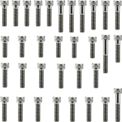 Kit parafusos inox tampa motor lateral esquerda+direita YS250 FZ250 Fazer XTZ250 Lander Tenere 2006 2007 2008 2009 2010