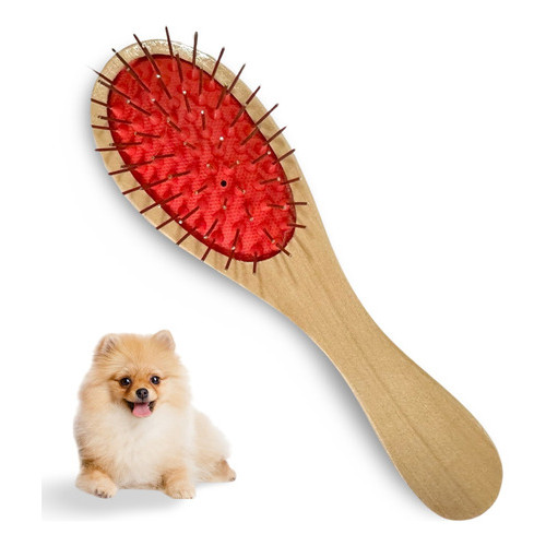 Bacon Hair: Guia Completo e Onde Comprar | BuscaProdutos