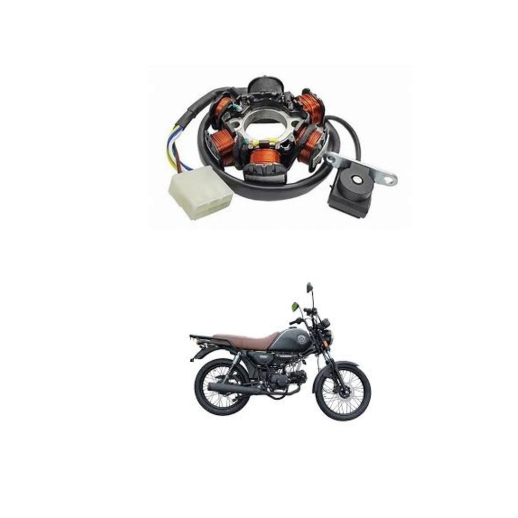 Estator Completo Bobinas Pulso Shineray Work 125/150 cc
