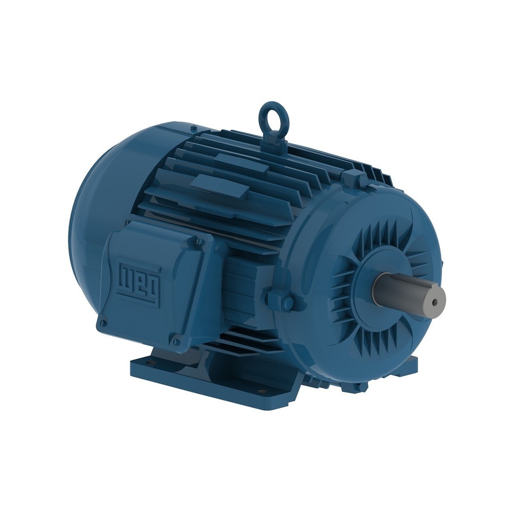 Motor Elétrico WEG W22 IR3 Premium 0.75 cv 6P L80 B3D Trifásico 220/380 V 60 Hz IP55 IC411 TFVE com Fixação por Pés