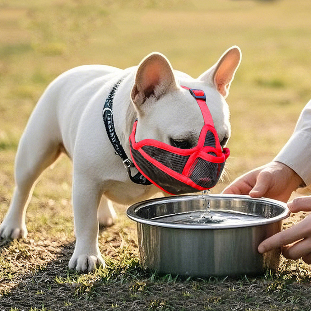Focinho Curto Para Animais De Estimação , Buldogue Francês , Cães , Verão , Protetor Facial , Pug , mascotas , Acessório