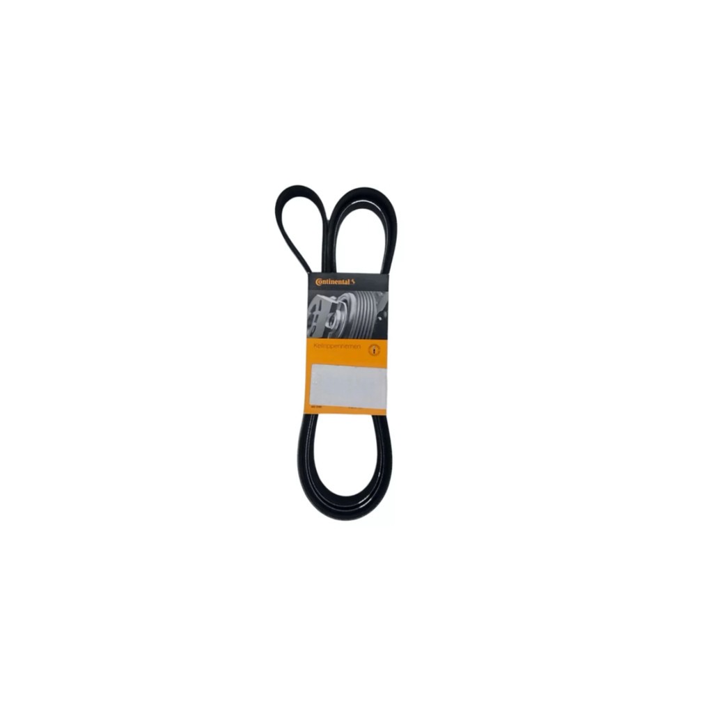Correia Poli V Continental 6pk 1678
