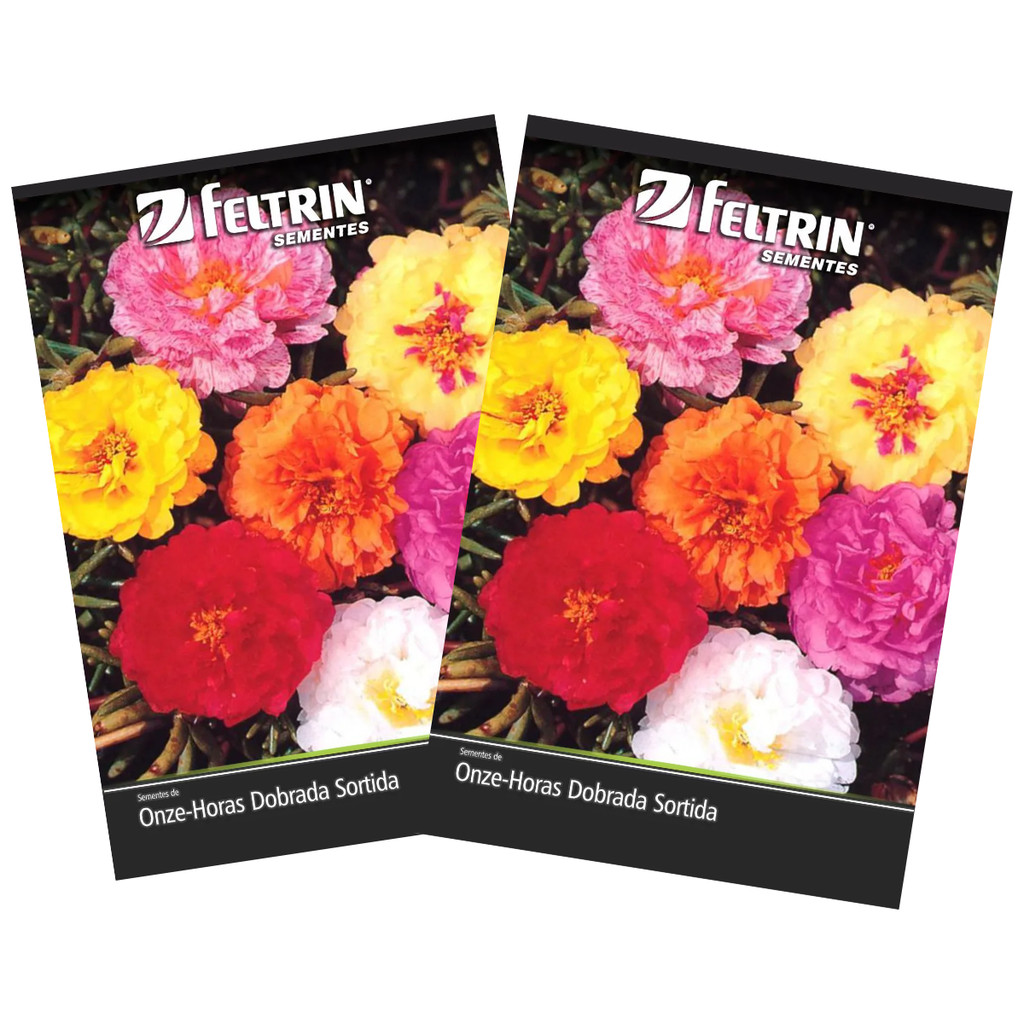 2X Sementes de Onze Horas Dobrada (Sortida) em Oferta na Shopee