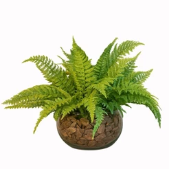 Arranjo Completo De Samambaia Centro De Mesa Grande De Vidro