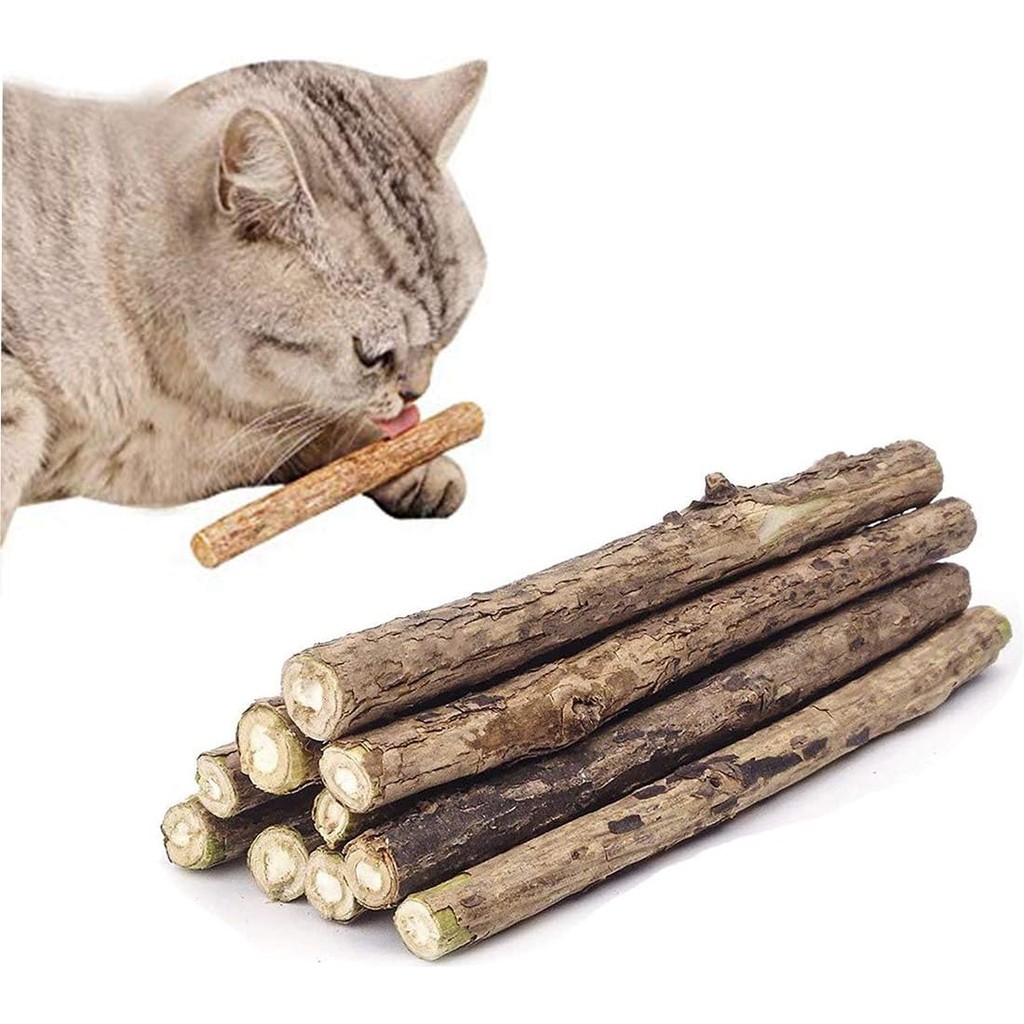Kit 10, 20 ou 30 Vara Graveto Catnip Matatabi Limpa Dentes