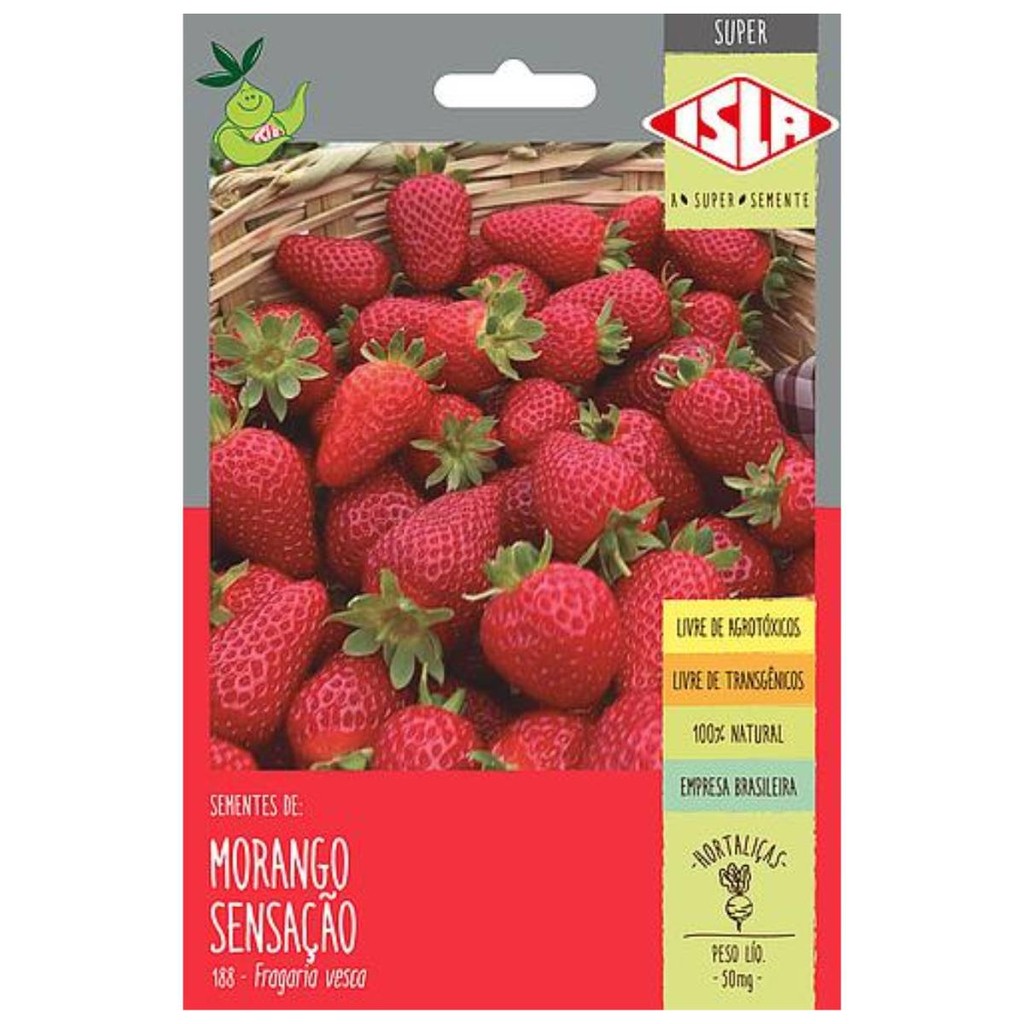 Sementes de Morango Sensação Super ISLA em Oferta na Shopee