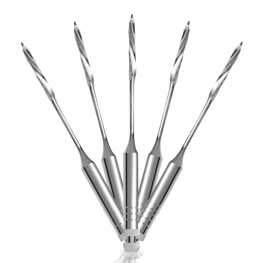 Brocas Largo: Guia Completo e Onde Comprar | BuscaProdutos