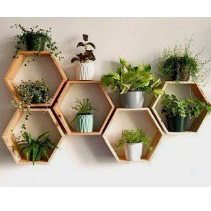 5 Nichos Colmeia Decorativos de Ambientes Madeira Pinus em Oferta na Shopee