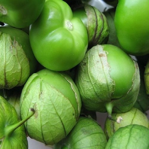 10 Sementes Tomatillo Mexicano Verde Physalis Ixocarpa Pmuda