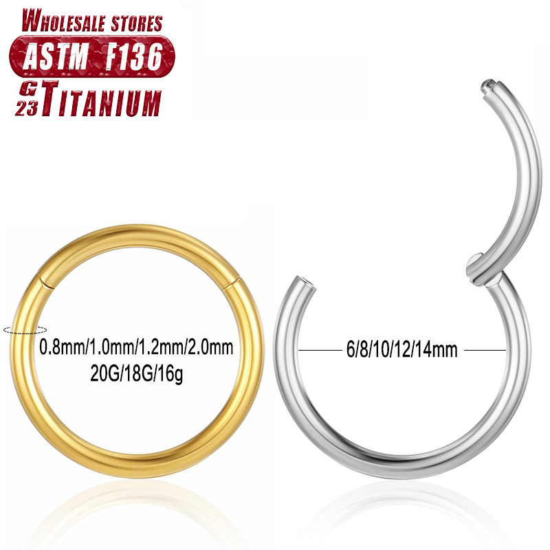 Brinco Titanio Feminino: Onde Comprar | BuscaProdutos