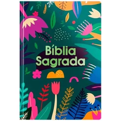 Bíblia Sagrada Tarde Colorida | NVT | Letra Grande | Capa Dura