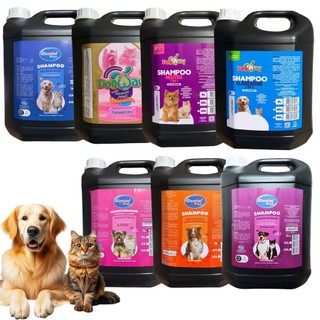Shampoo Cachorro Pet Shop Caes Condicionador 5lts Oferta Escolha o Seu