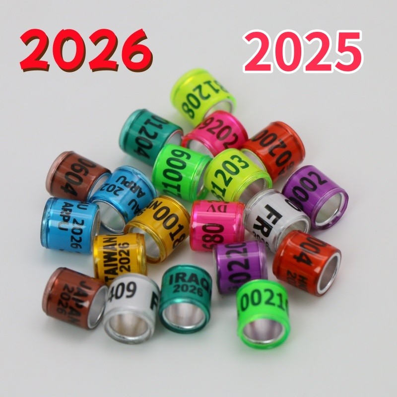 50 peças, 2026 anel de pé de pomba, ferramenta de treinamento de pomba de corrida em Oferta na Shopee