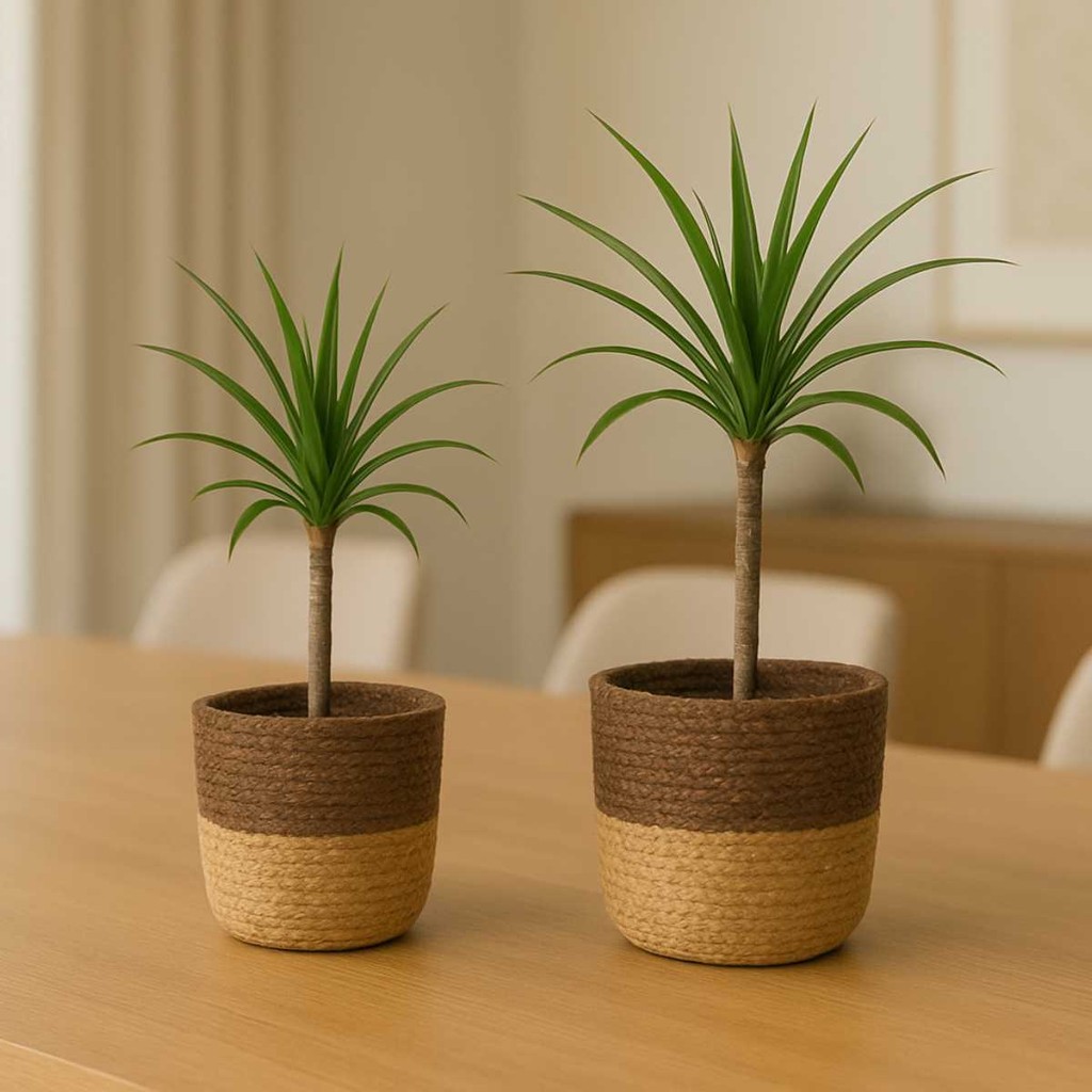 Cachepô fibra natural rústico redondo para plantas com reforço interno