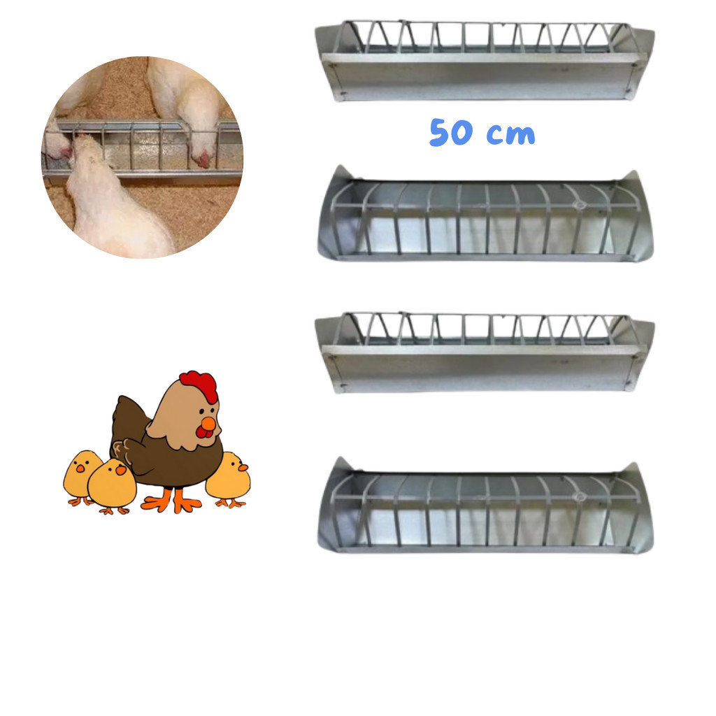 Kit 12 Comedouro calha 50cm galvanizado para fango, pintinho, galinha, codorna