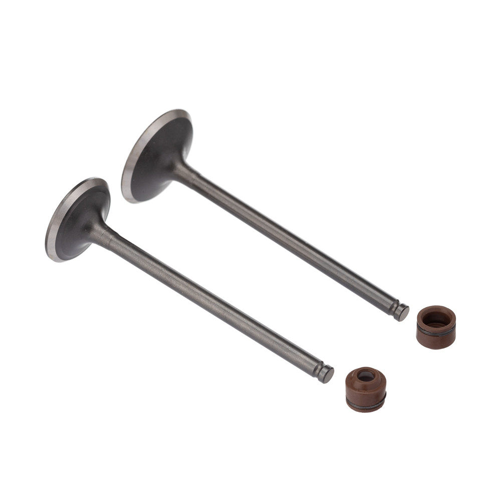 Valvula E Retentor Kit 4 Peças Ww3 Cg 160 2016/ Retentor Marrom em Oferta na Shopee