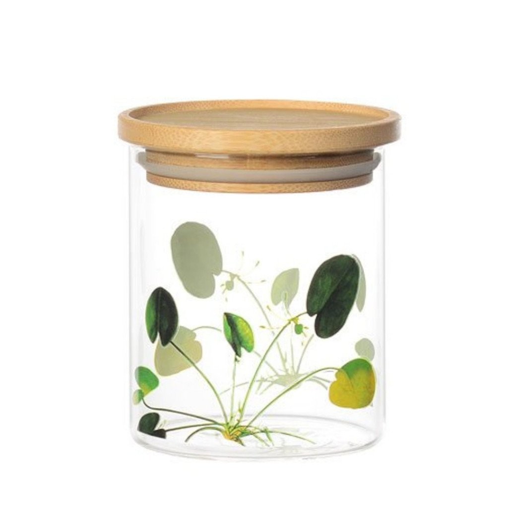 Porta Mantimentos Redondo Natureza Viva em Vidro com Tampa de Bambu 400ml Dynasty