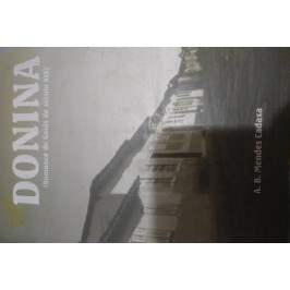 Livro Donina Romance do Goiás do Século XIX de A. B. Mendes Cadaxa 7309562