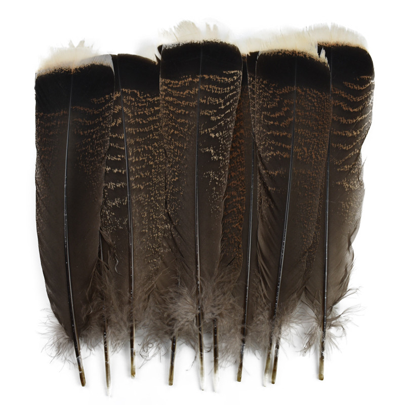 10 Pçs/Lote Penas De Peru Naturais Para Artesanato 25-30cm 10-12 " Chapéus Faisão Dream Catcher Eagle Feather Diy Craft 
