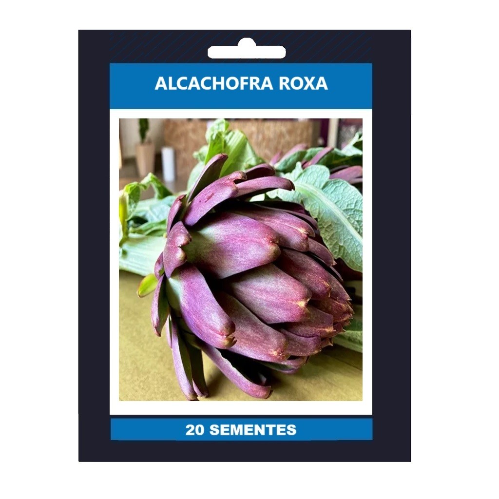 20 Sementes Premium De Alcachofra Roxa Violeta II