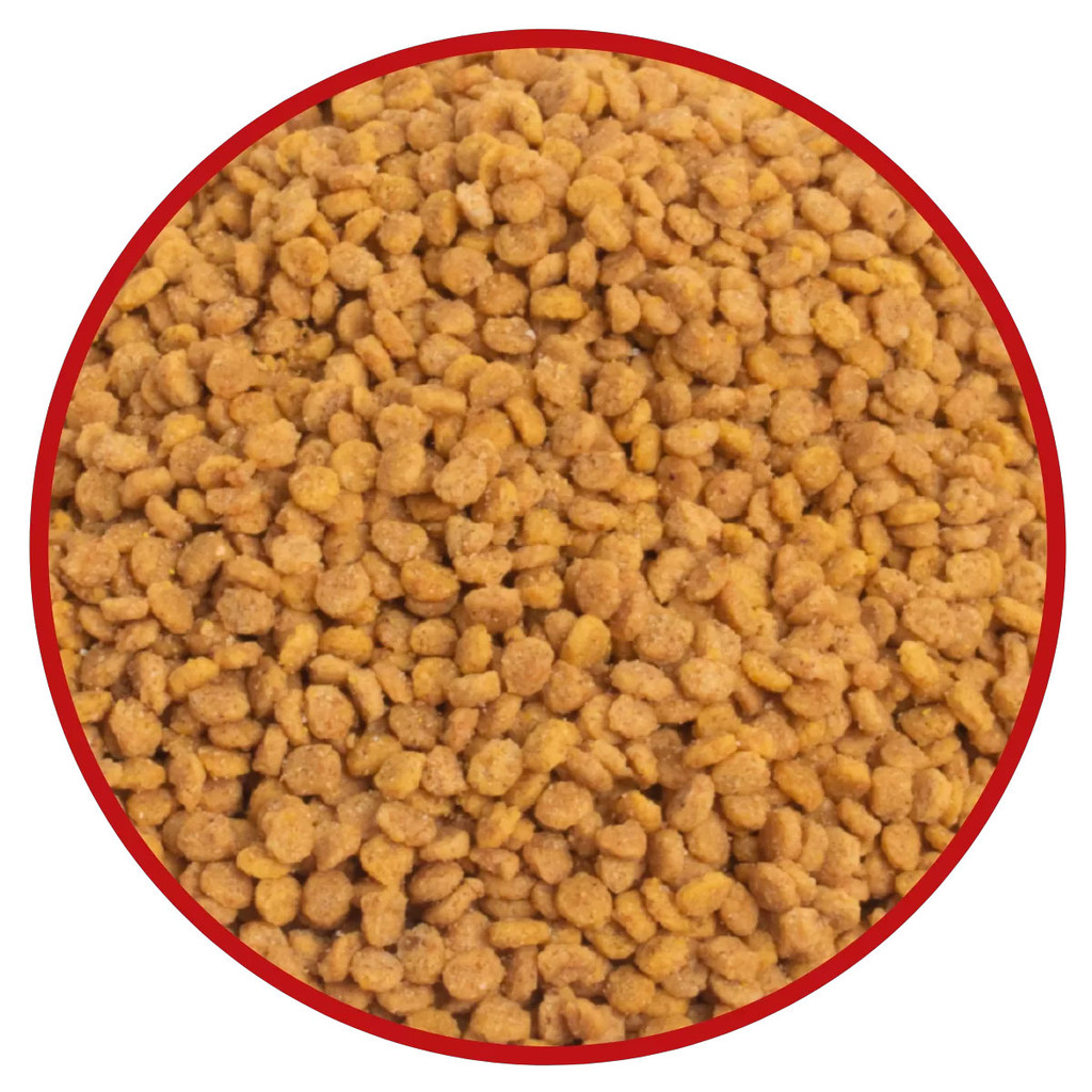 Ração Nutribiótica Criadores Extrusada Psitacídeos 10kg Super Premium, Agapornis, Calopsita e Rosela