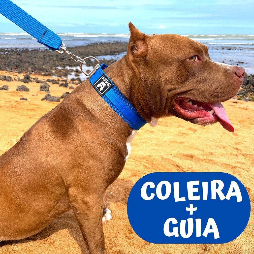 Coleira Com Guia Nylon Para Cachorro Raça Grande Resistente Pet