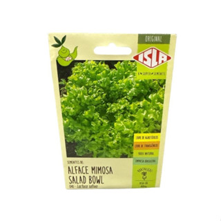 Sementes de Alface Mimosa Salad Bowl 400mg - Isla em Oferta na Shopee