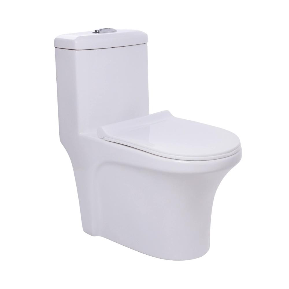 Vaso Sanitário Monobloco Caixa Acoplada Privada Barita Pingoo - Branco em Oferta na Shopee