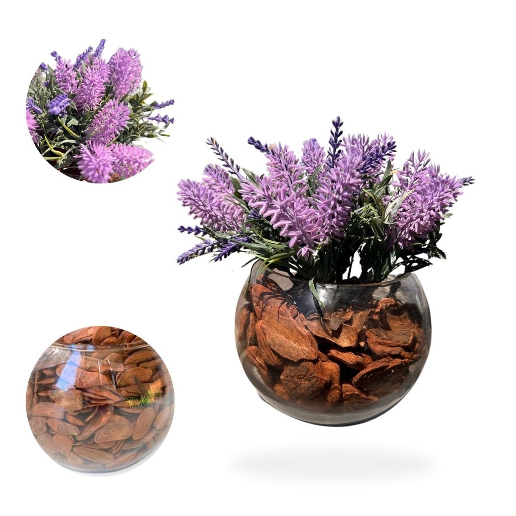 Buque Decorativo Lavanda Vaso Vidro Pequeno Com Casca Madeira Arranjo Decoração