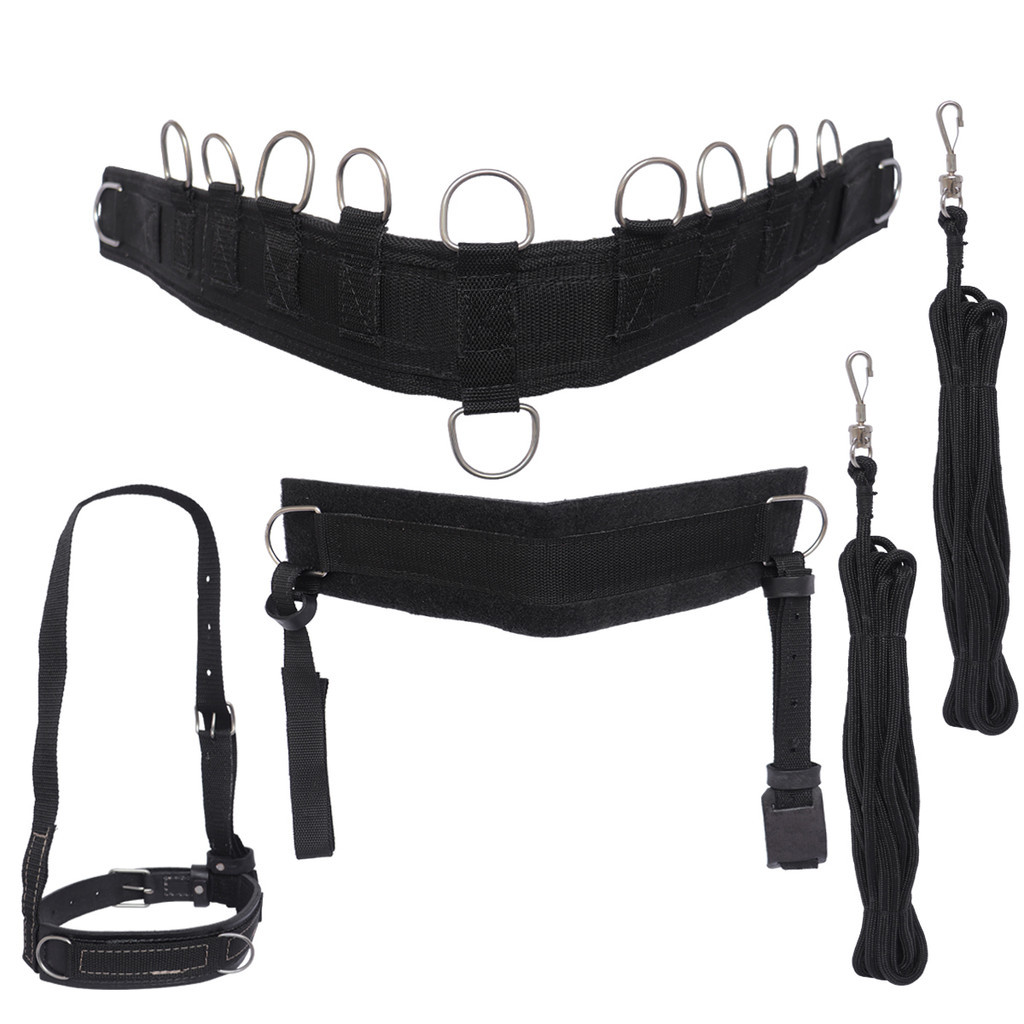 Arreata para Charrete: Onde Comprar | BuscaProdutos