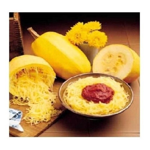 Sementes De Abóbora Spaghetti Macarrão Espaguete II