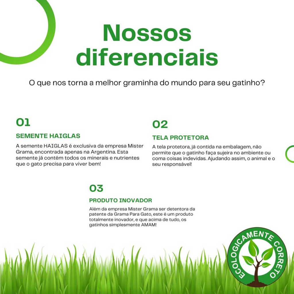 Graminha Digestiva Para Gatos Eliminação Pelos Mister Grama — imagem 2 de 2