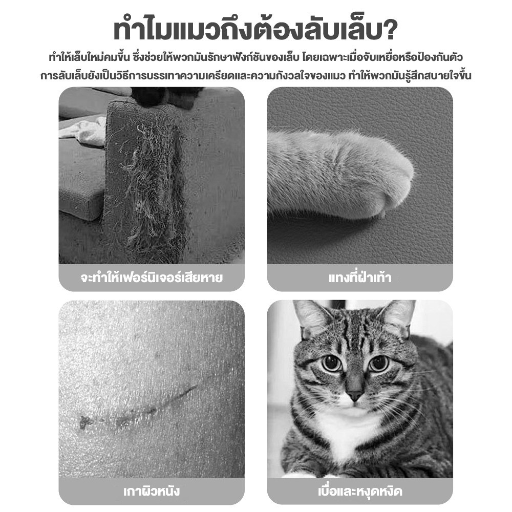 พร้อมจัดส่ง😻ลับเล็บแมว ของเล่นแมว ขนาดใหญ่พิเศษ ที่ลับเล็บแมว ที่ฝนเล็บแมว ที่ขูดเล็บ ทนต่อการสึกหรอ - ภาพที่ 3