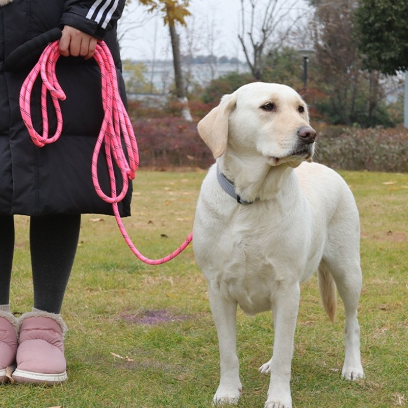 Hi * Dog Training Leads 5M 10M Long Line Leash Soft Alça Acolchoada Gancho Reflexivo Para Atividades Ar